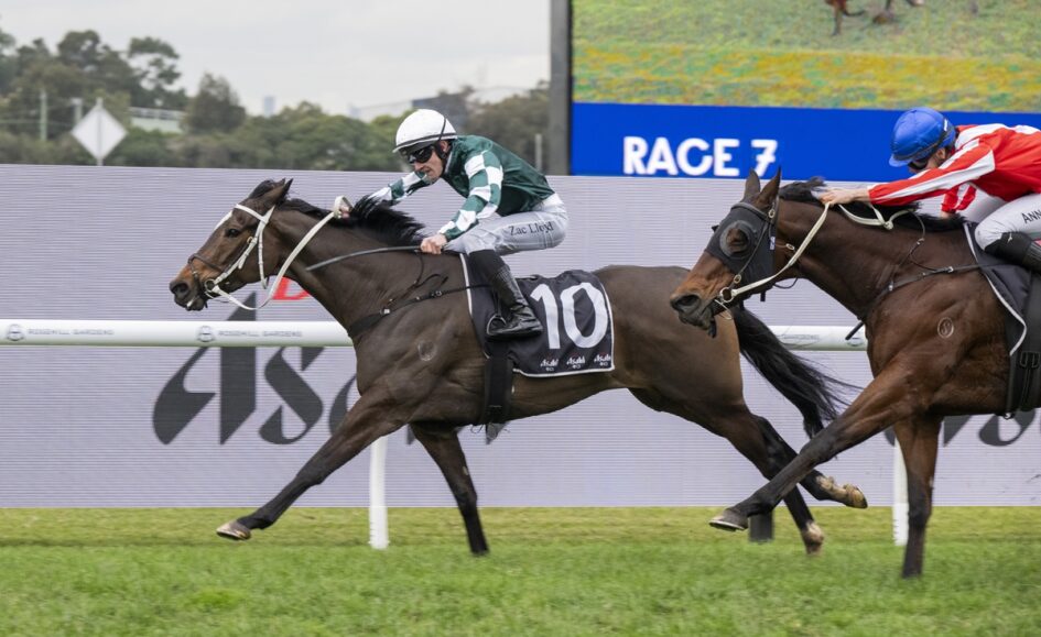 Two racehorses gallop on a grass track; the lead horse (#10) is ridden by a jockey in green-and-white silks, with a red-sleeved rival close behind.