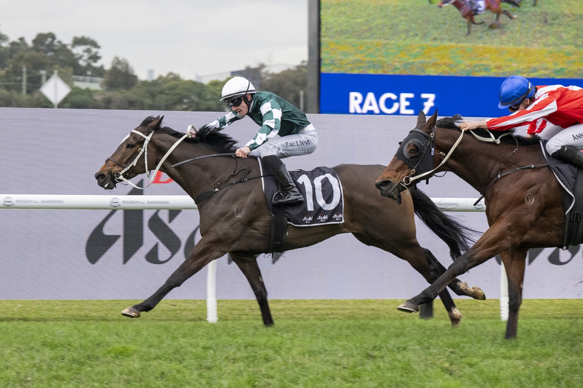 Two racehorses gallop on a grass track; the lead horse (#10) is ridden by a jockey in green-and-white silks, with a red-sleeved rival close behind.