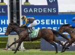Jockey in yellow and black rides a dark brown horse with green saddle cloth #7, leading a close race on a track.