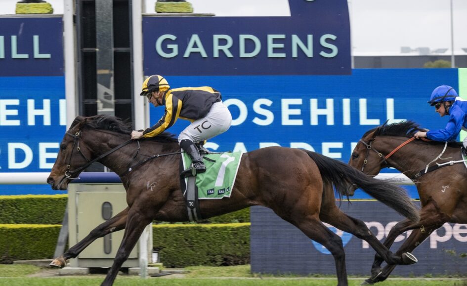 Jockey in yellow and black rides a dark brown horse with green saddle cloth #7, leading a close race on a track.