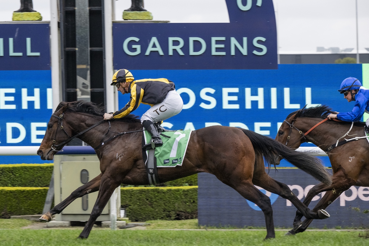 Jockey in yellow and black rides a dark brown horse with green saddle cloth #7, leading a close race on a track.