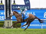 Jockey in green-and-white silks riding a brown horse mid-air over a hurdle at Rosehill Gardens racetrack.