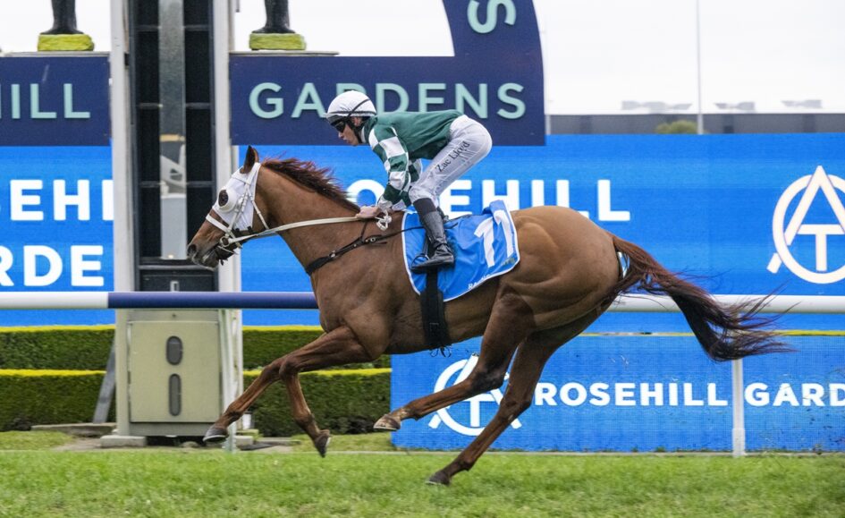 Jockey in green-and-white silks riding a brown horse mid-air over a hurdle at Rosehill Gardens racetrack.