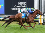 Two jockeys on racing horses sprinting side by side at Caulfield Racecourse.