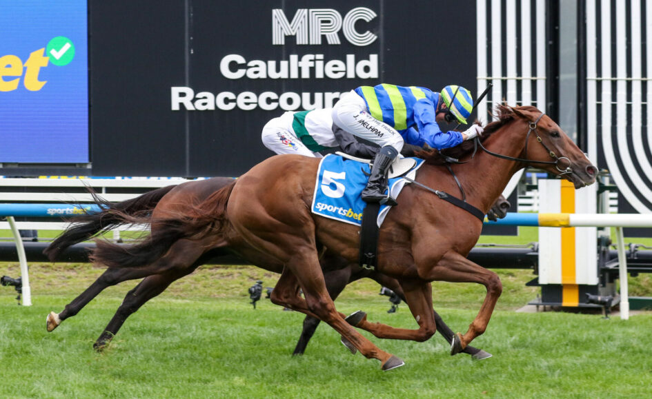 Two jockeys on racing horses sprinting side by side at Caulfield Racecourse.