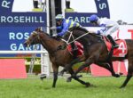 Two racehorses and jockeys in blue-and-white silks gallop side by side on a grassy track at Rosehill Gardens.