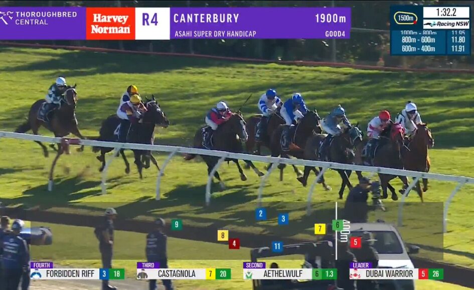 Group of horse racing on a turf track around a bend, jockeys in colorful silks, with race graphics showing Canterbury 1900m and leading Dubai Warrior.