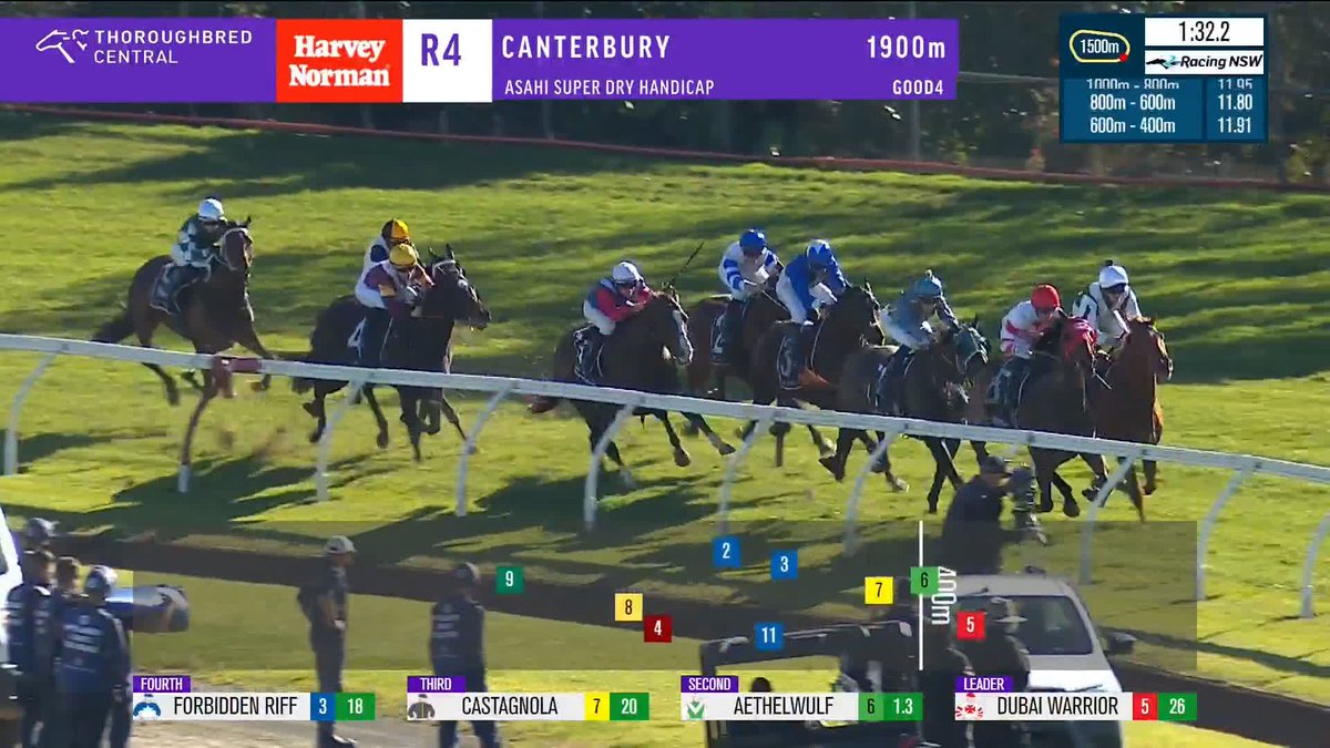 Group of horse racing on a turf track around a bend, jockeys in colorful silks, with race graphics showing Canterbury 1900m and leading Dubai Warrior.
