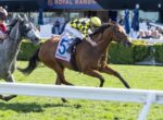 Bay horse wearing number 5 saddlecloth leads a race, ridden by a yellow-checkered-silk jockey, on a grassy track with rails and spectators in the background, Royal Randw sign visible in the stands.