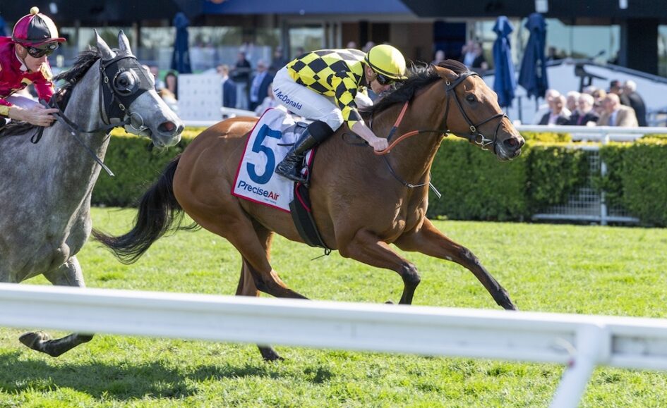 Bay horse wearing number 5 saddlecloth leads a race, ridden by a yellow-checkered-silk jockey, on a grassy track with rails and spectators in the background, Royal Randw sign visible in the stands.