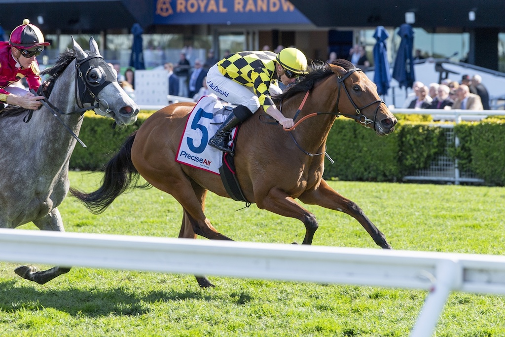 Bay horse wearing number 5 saddlecloth leads a race, ridden by a yellow-checkered-silk jockey, on a grassy track with rails and spectators in the background, Royal Randw sign visible in the stands.
