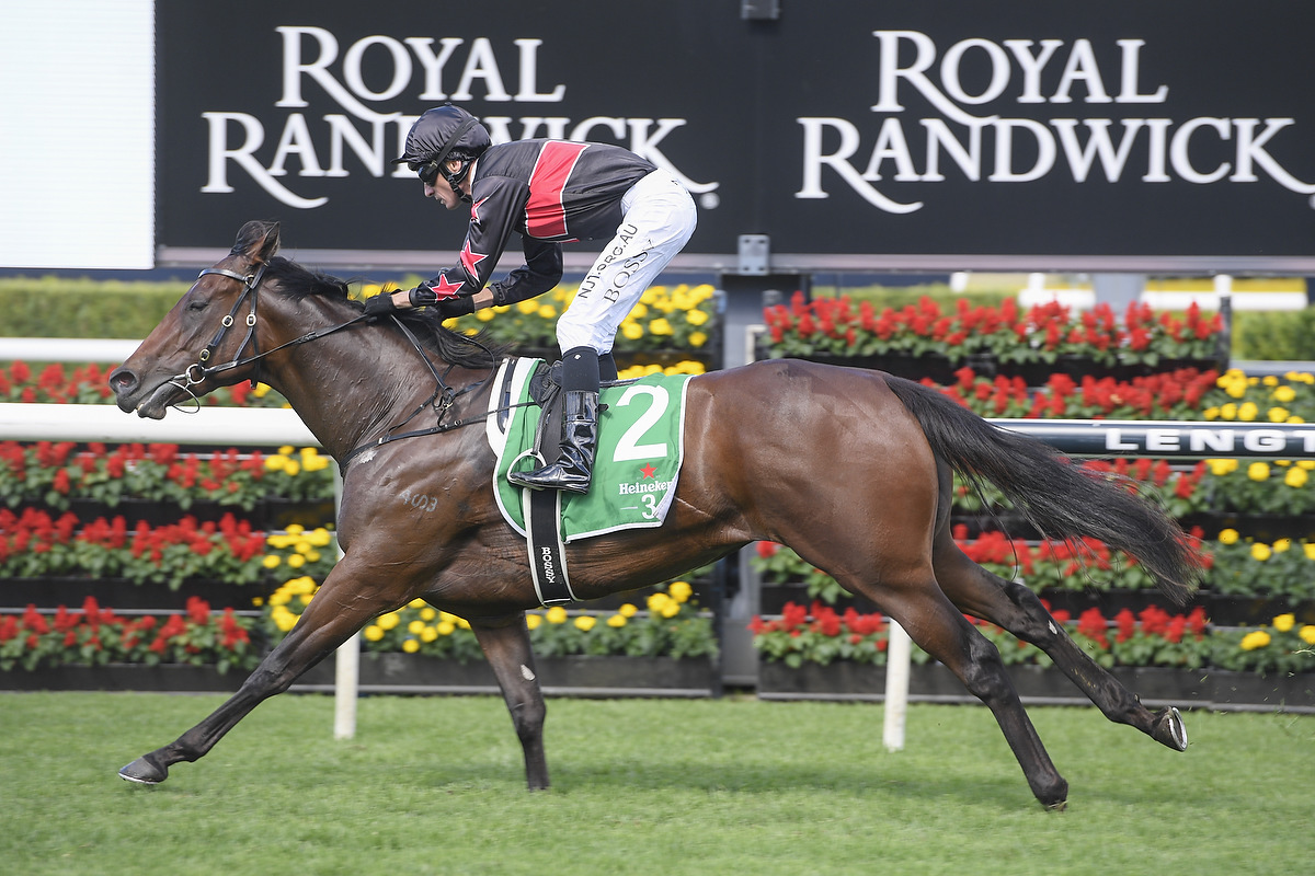 Horse and jockey race at Royal Randwick; jockey in black and red silks rides a brown horse with green saddlecloth, number 2, near floral fences.
