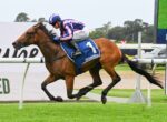 Brown horse and jockey in pink-and-blue silks jumping a hurdle at a racecourse