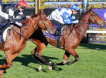 Two jockeys race side by side on brown horses over a sunny turf track with flower-filled barriers in the background, mid-gallop
