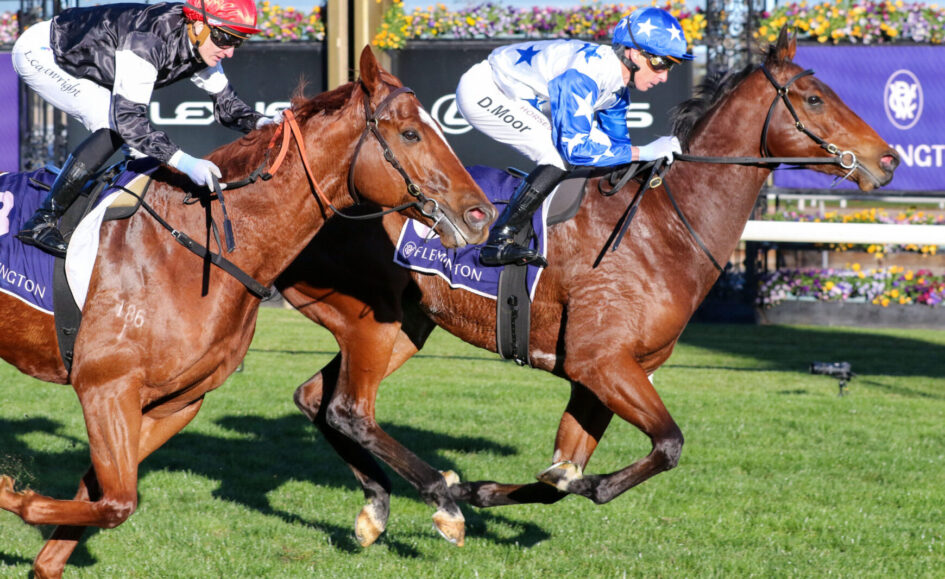 Two jockeys race side by side on brown horses over a sunny turf track with flower-filled barriers in the background, mid-gallop