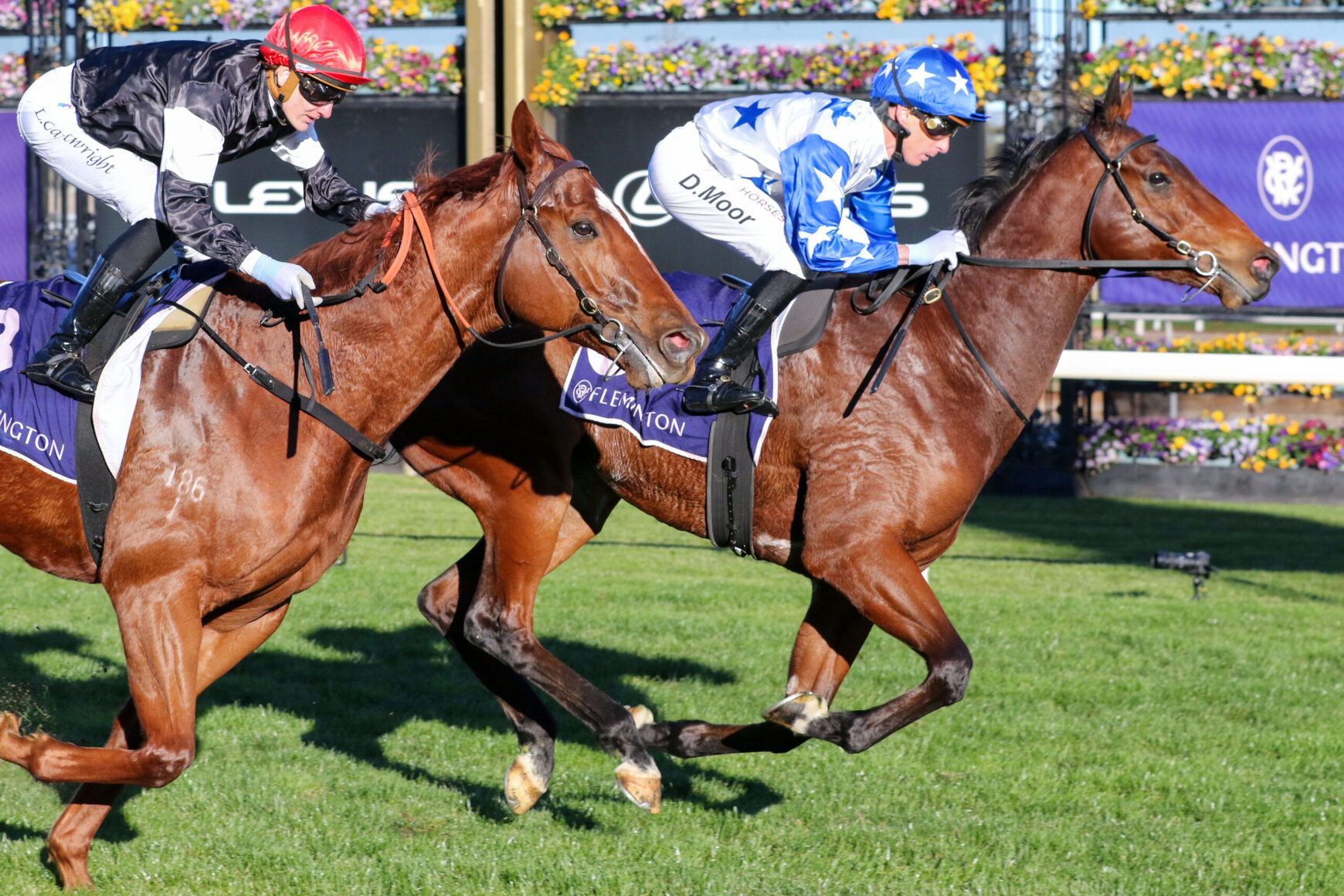 Two jockeys race side by side on brown horses over a sunny turf track with flower-filled barriers in the background, mid-gallop