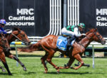 Horse racing action at Caulfield Racecourse, leading jockey on chestnut horse wearing blue saddlecloth with number 7.