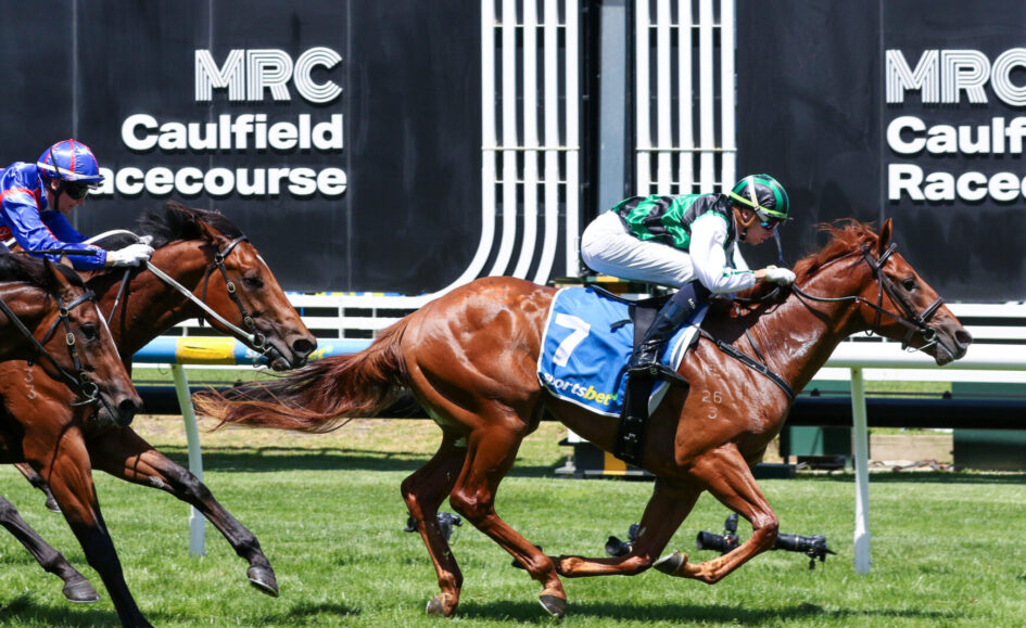 Horse racing action at Caulfield Racecourse, leading jockey on chestnut horse wearing blue saddlecloth with number 7.