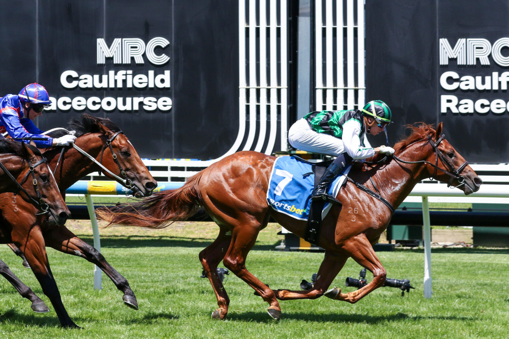 Horse racing action at Caulfield Racecourse, leading jockey on chestnut horse wearing blue saddlecloth with number 7.