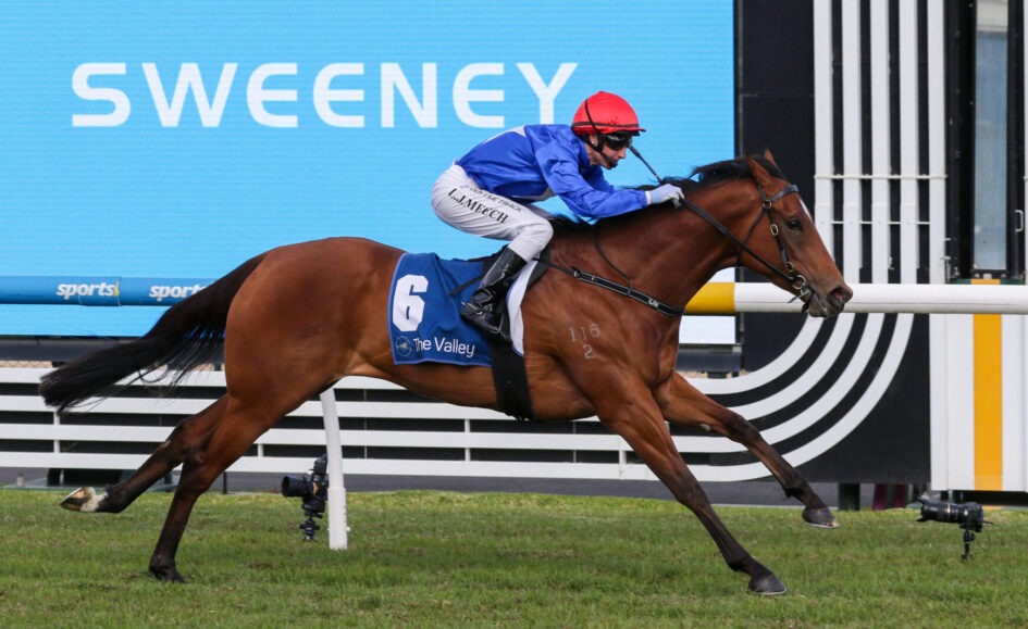 Jockey in blue silks on a bay horse with number 6 saddle cloth racing on a grass track near a hurdle fence
