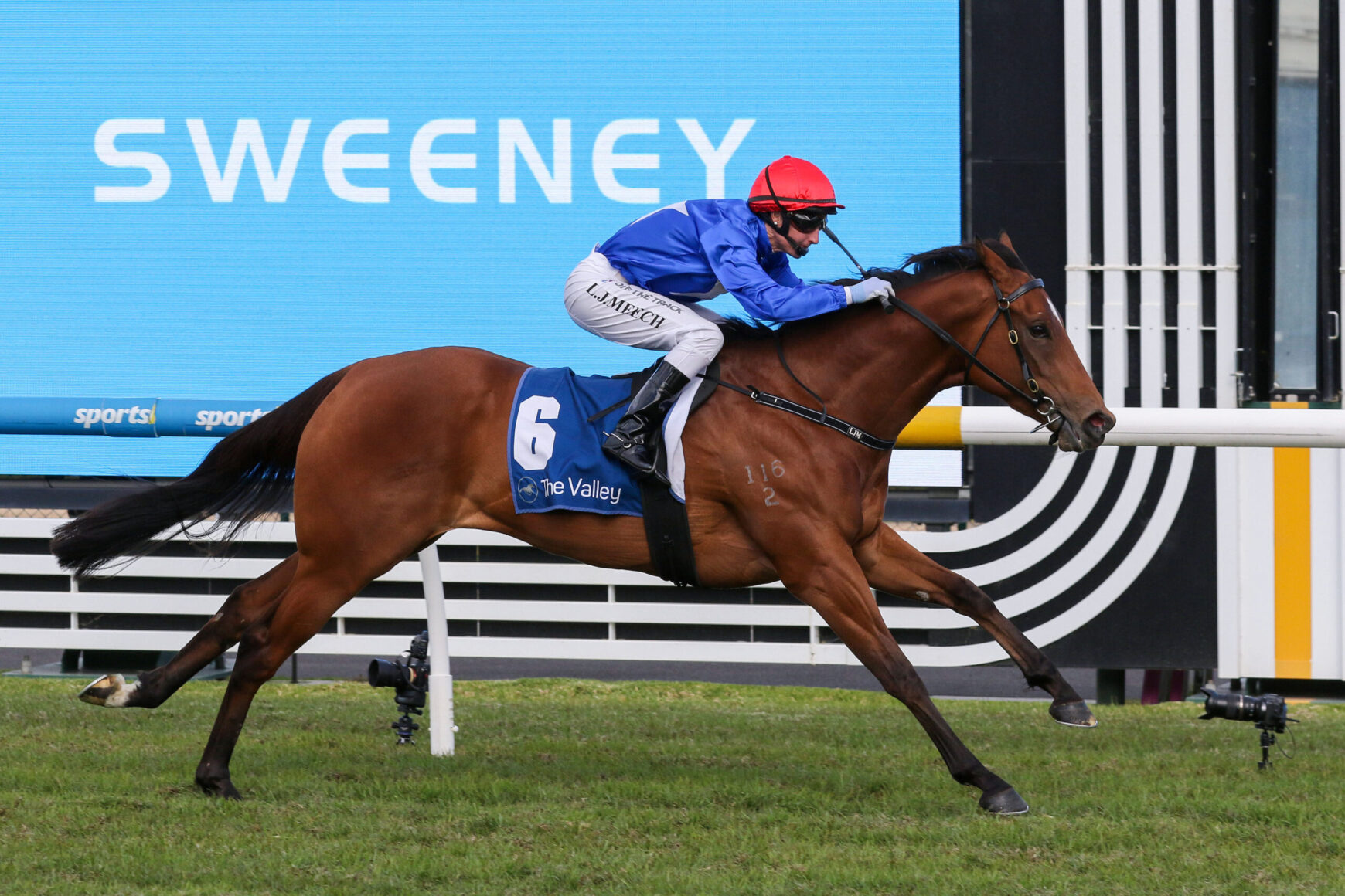 Jockey in blue silks on a bay horse with number 6 saddle cloth racing on a grass track near a hurdle fence
