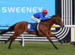 Jockey in blue silks and red cap riding a bay horse with saddlecloth number 6 during a race.
