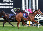 Jockeys in pink, white, and green silks ride sprinting racehorses on a grass turf track near a black wall with Caulfield signage in the background.