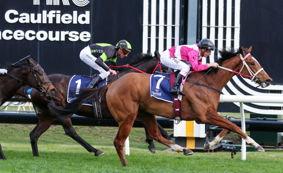 Jockeys in pink, white, and green silks ride sprinting racehorses on a grass turf track near a black wall with Caulfield signage in the background.