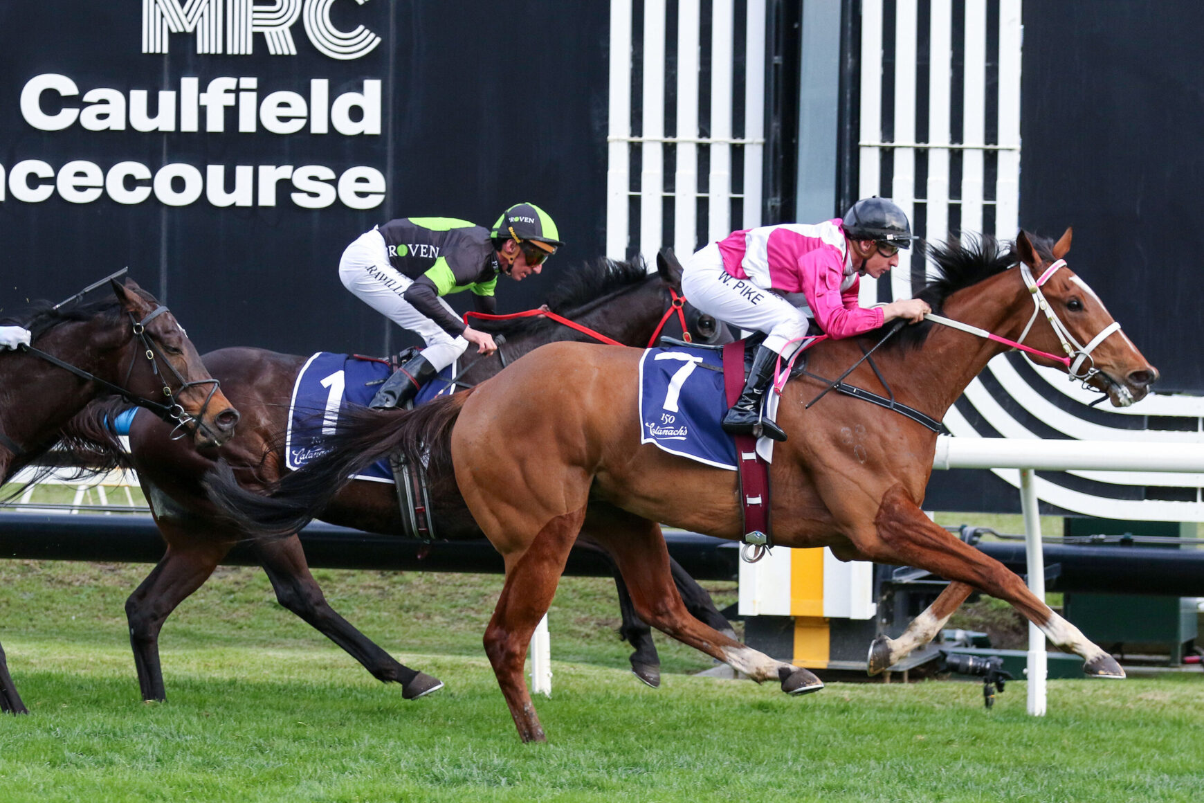 Jockeys in pink, white, and green silks ride sprinting racehorses on a grass turf track near a black wall with Caulfield signage in the background.
