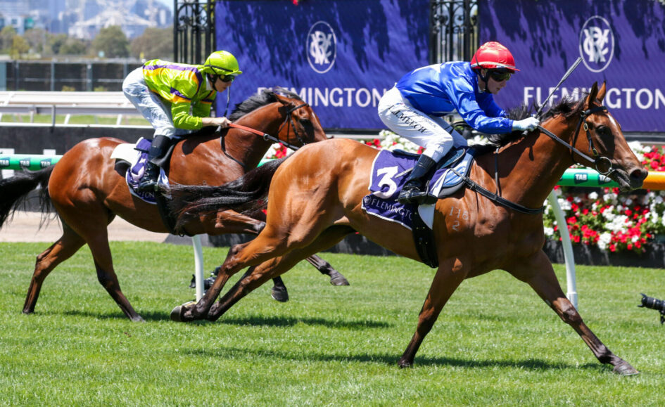 Two jockeys race their brown horses to the finish line on a sunny track, green grass in the foreground and purple banners in the background.