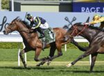 Two jockeys race side by side on galloping horses during a sunny race, with the foreground horse wearing a green saddlecloth labeled '6' and a green-and-navy silks outfit.