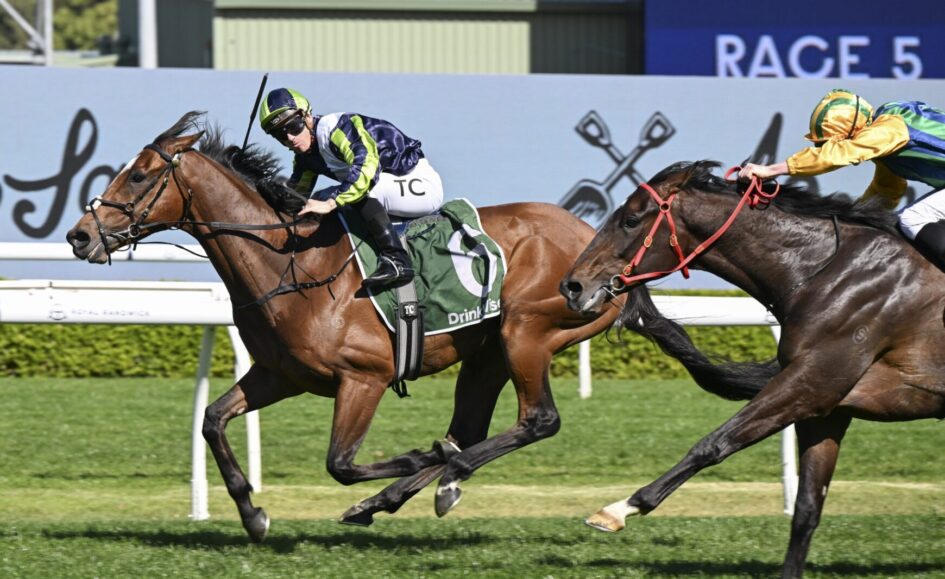 Two jockeys race side by side on galloping horses during a sunny race, with the foreground horse wearing a green saddlecloth labeled '6' and a green-and-navy silks outfit.