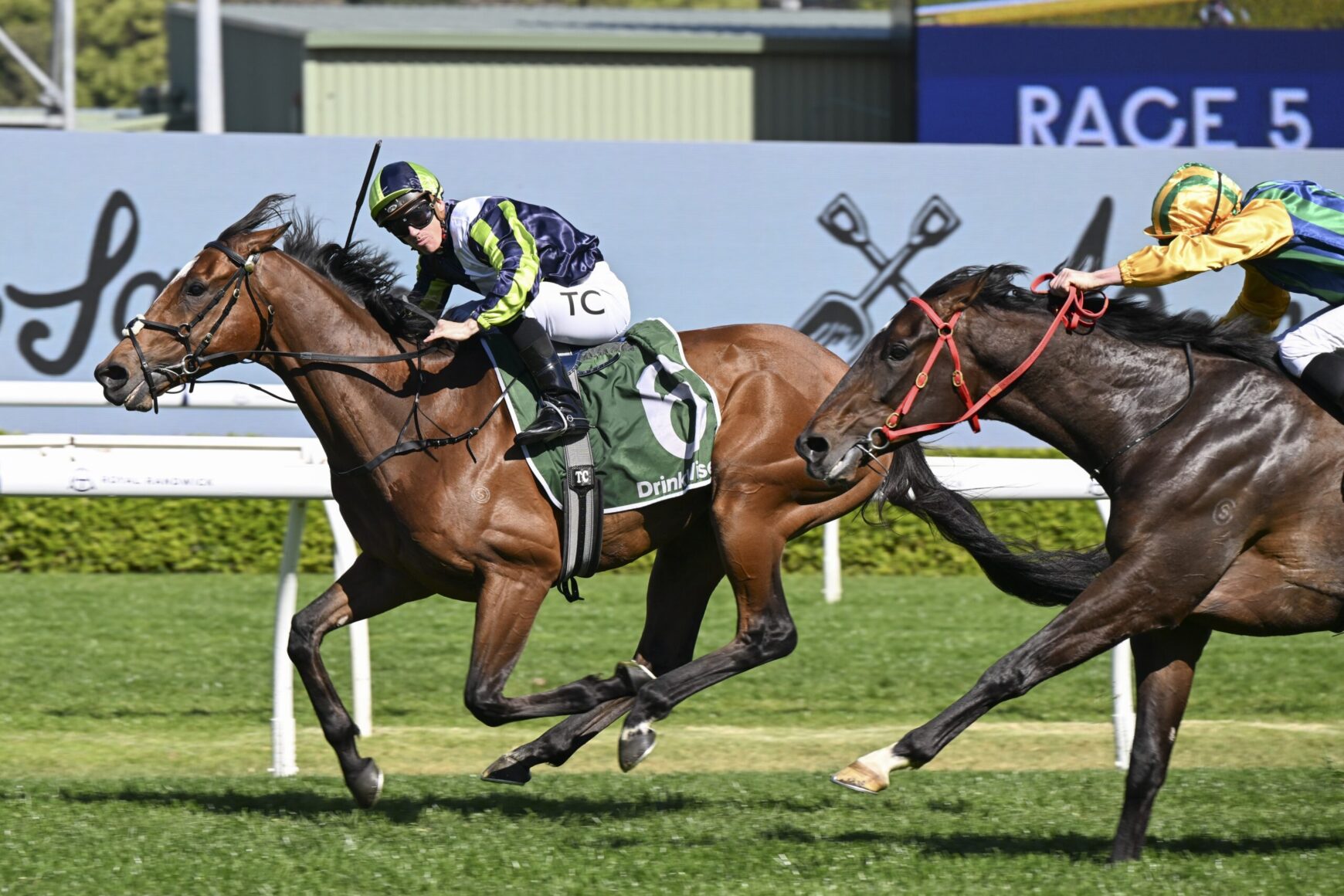 Two jockeys race side by side on galloping horses during a sunny race, with the foreground horse wearing a green saddlecloth labeled '6' and a green-and-navy silks outfit.