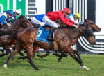 Jockey in red silks leans forward on a dark brown horse (number 7) leading a packed horse race on a green turf track, crowd in background not visible