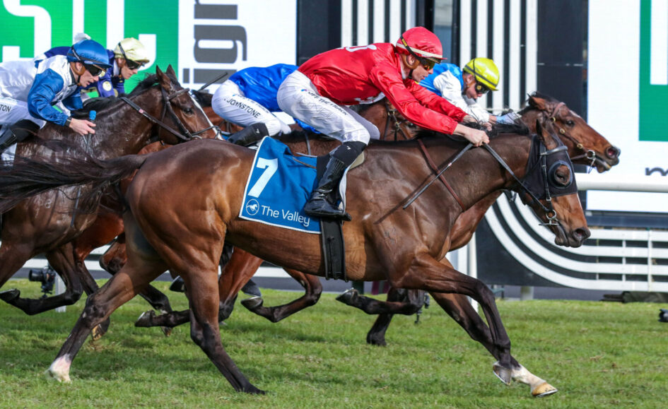 Jockey in red silks leans forward on a dark brown horse (number 7) leading a packed horse race on a green turf track, crowd in background not visible