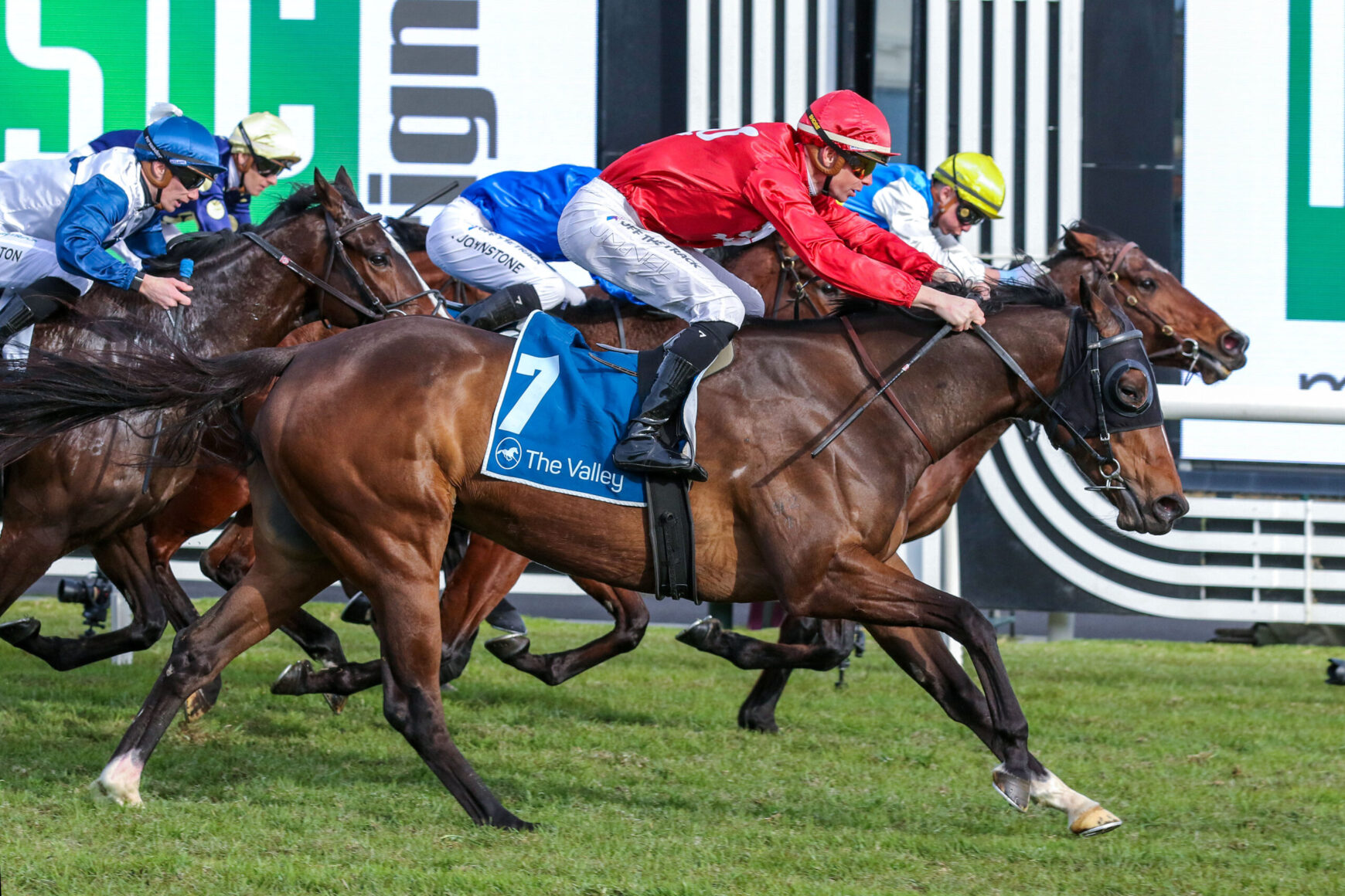 Jockey in red silks leans forward on a dark brown horse (number 7) leading a packed horse race on a green turf track, crowd in background not visible