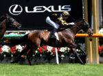 Jockey in black-and-yellow silks riding a galloping dark brown horse; a Lexus sign looms in the background.