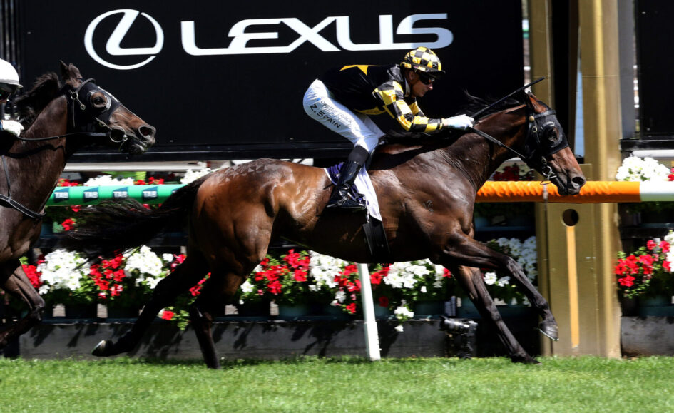 Jockey in black-and-yellow silks riding a galloping dark brown horse; a Lexus sign looms in the background.