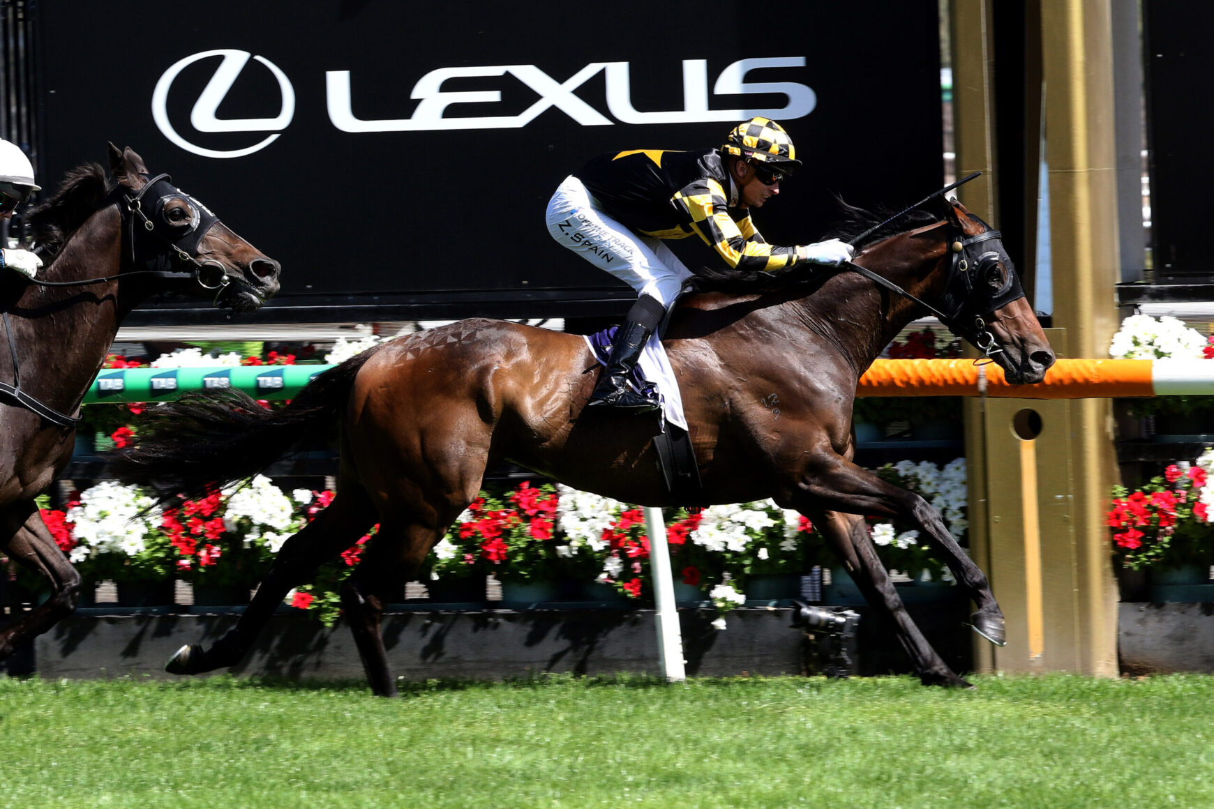 Jockey in black-and-yellow silks riding a galloping dark brown horse; a Lexus sign looms in the background.