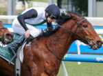 Jockey in helmet riding a brown horse during a race, with motion blur and racing rails in background.