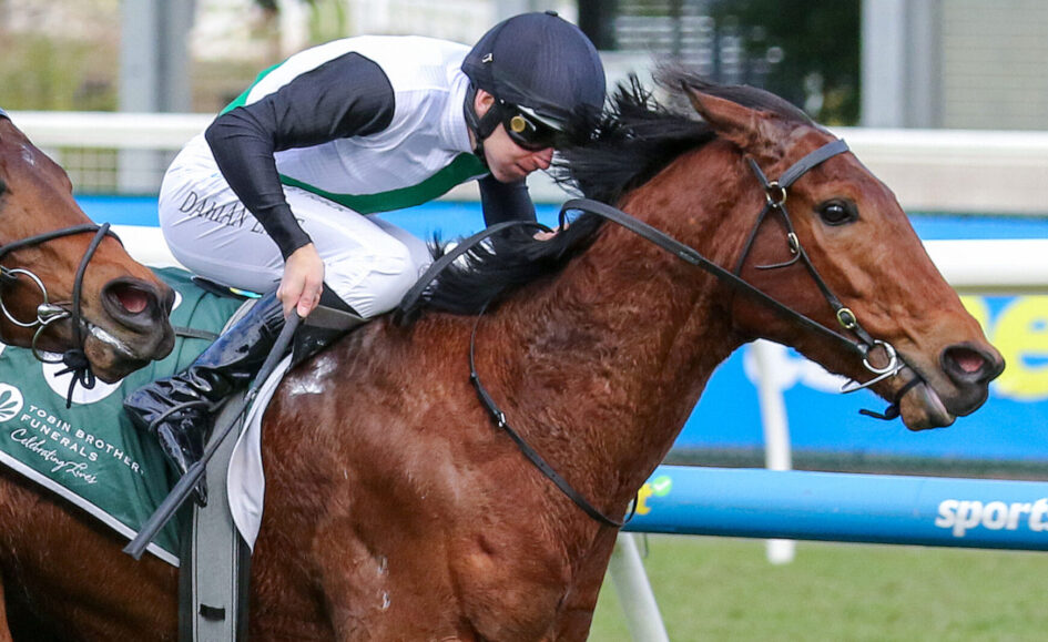 Jockey in helmet riding a brown horse during a race, with motion blur and racing rails in background.