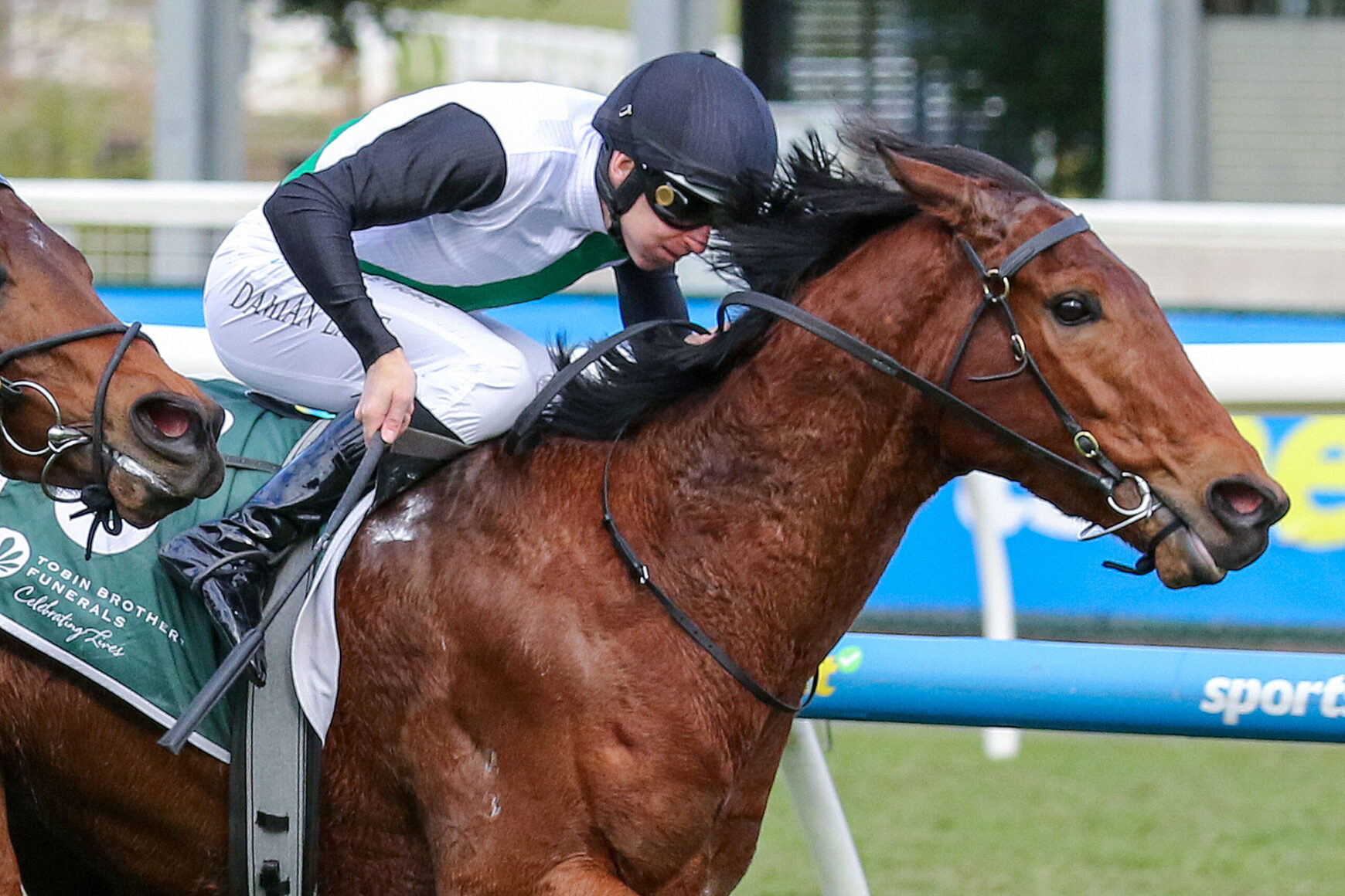 Jockey in helmet riding a brown horse during a race, with motion blur and racing rails in background.