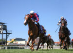 Jockey in red and blue silks leans forward on a chestnut horse leading a horse race under a clear blue sky.