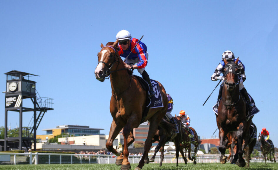Jockey in red and blue silks leans forward on a chestnut horse leading a horse race under a clear blue sky.