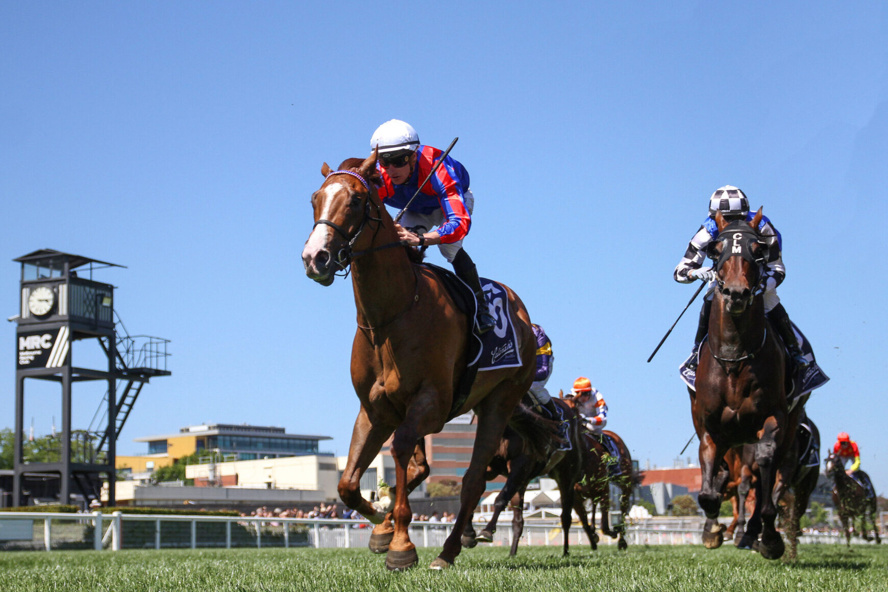 Jockey in red and blue silks leans forward on a chestnut horse leading a horse race under a clear blue sky.