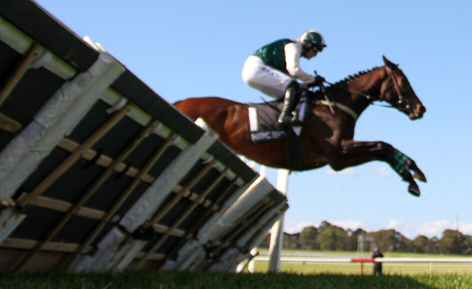 Brown horse and rider in green and white gear leap over a wooden obstacle against a clear blue sky.