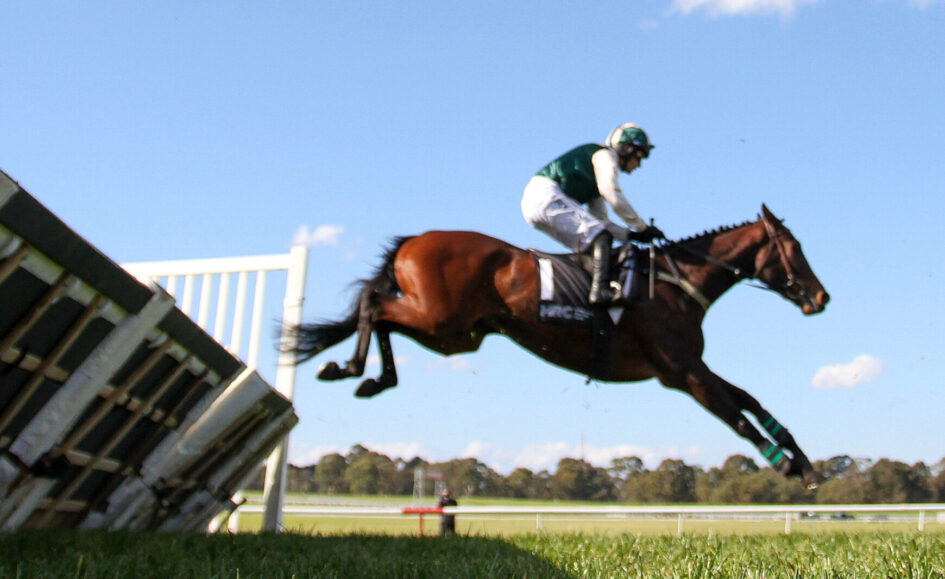 Horse and rider in mid-air clearing a wooden jump on a sunny day during show jumping competition