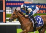 Jockey in blue-and-white silks leaning forward on a brown horse during a race with sponsor signage in the background.