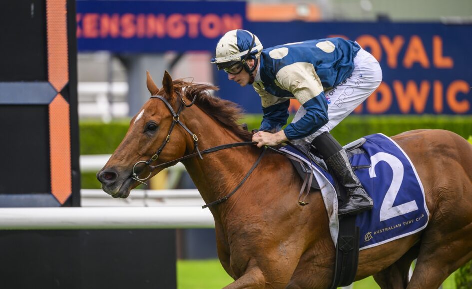 Jockey in blue-and-white silks leaning forward on a brown horse during a race with sponsor signage in the background.