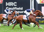 Two jockeys race chestnut horses on a turf track, close to the camera, with white saddlecloths numbered 1 and 6.